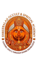 shreebalajiastro logo removebg preview