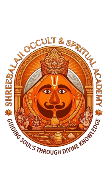 shreebalajiastro logo removebg preview